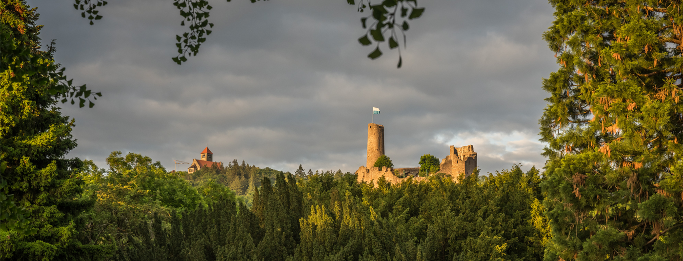 Frühling