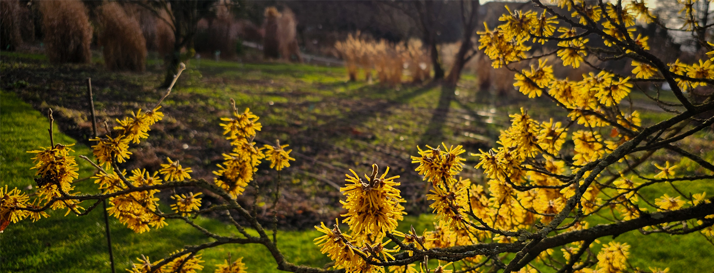 Frühling