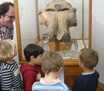 Kinder bestaunen einen Mammutschädel in einem Schaukasten