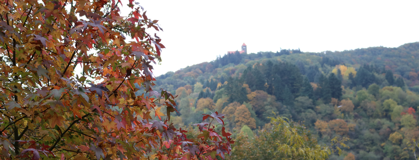 Schlosspark