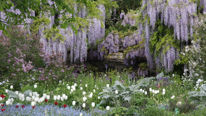 Frühling im Hermannshof