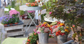 Stand beim Weinheimer Herbst