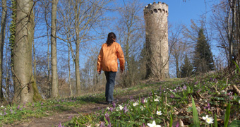 Wanderweg zum Hirschkopfturm