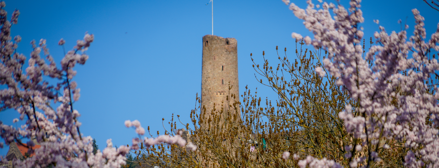 Frühling