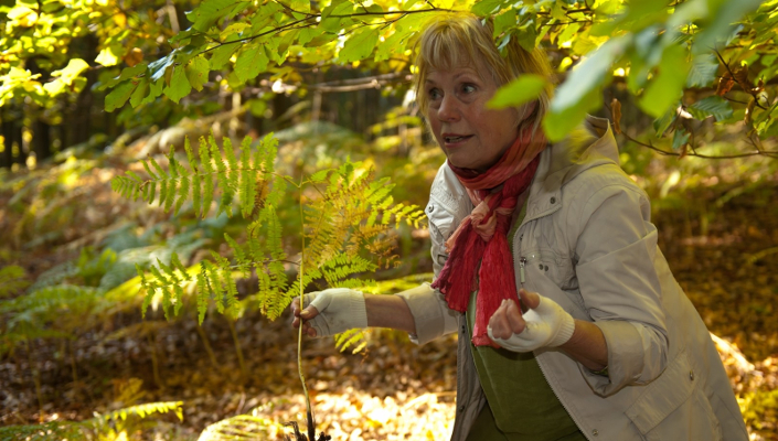 Wildkräuterführung mit Frau Winkenbach