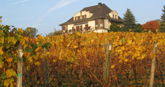 Rebmuttergarten in Heppenheim