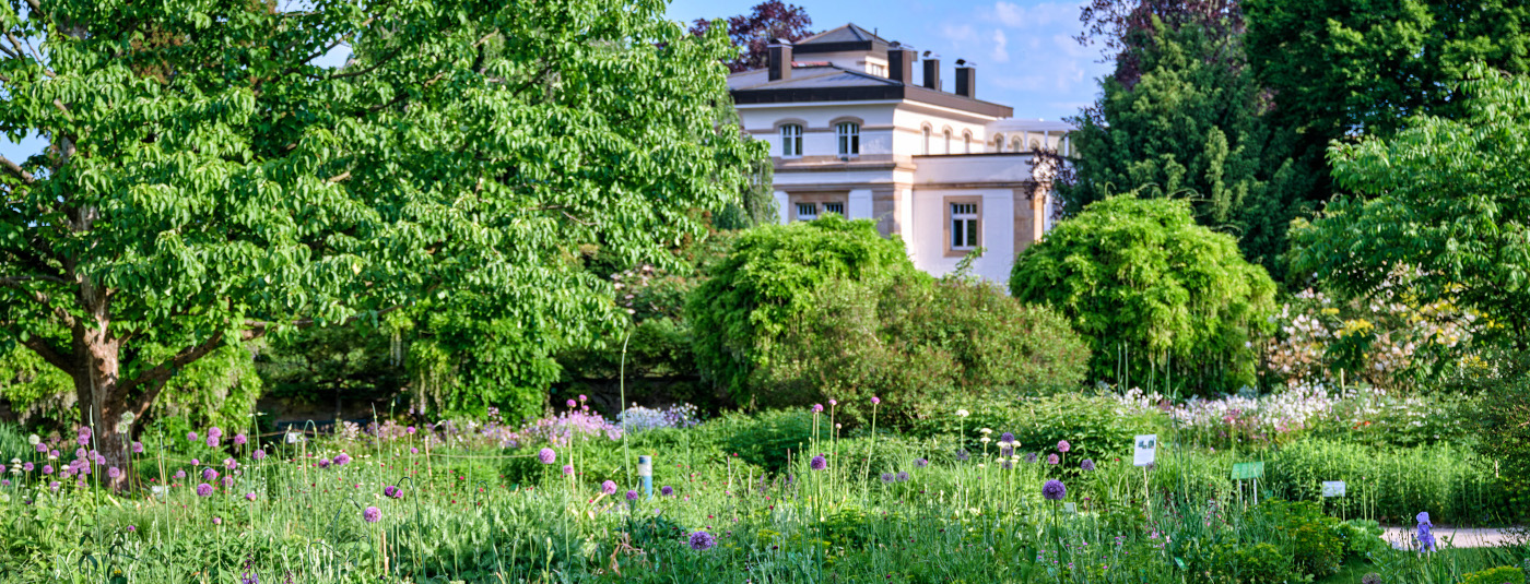 Hermannshof_Staudenwiese im Vordergrund; Gebäude im Hintergrund
