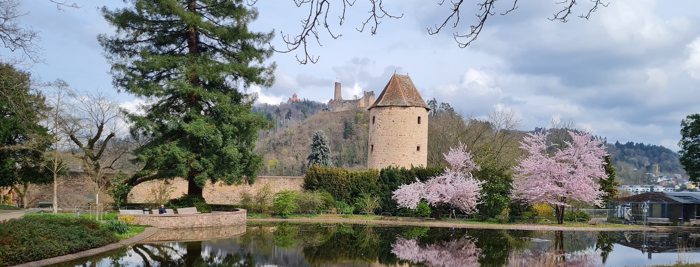 Schlosspark - Teichanlage im Vordergrund und dahinter die alte Stadtmauer mit "blauem Hut" (einstiger Gefängnisturm) sowie am Horizont die beiden Burgen der Stadt (Burgruine Windeck und Wachenburg)