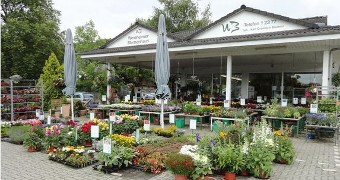 Eingangsbereich üppig mit Blumen dekoriert