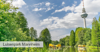 Bild vom Fernsehturm mit Grünanlage Luisenpark und Gondoletta