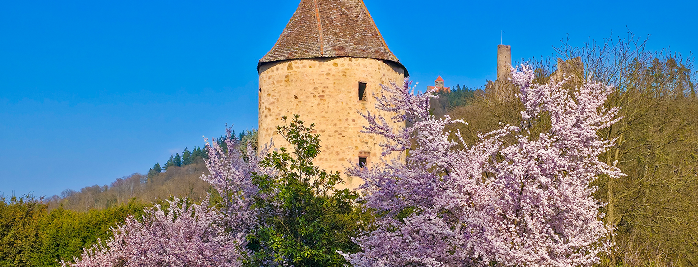 Frühling