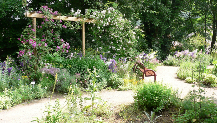 Verschlungener Weg mit Bank und Rankgerüst im Garten 