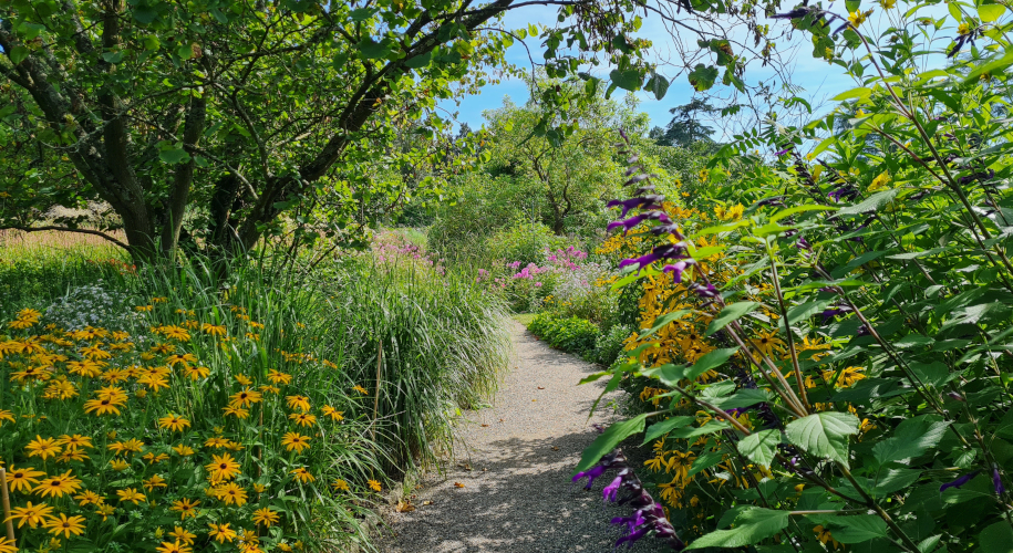 Weg mit Blumen am Rand