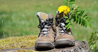 Wanderschuhe auf Baumstamm